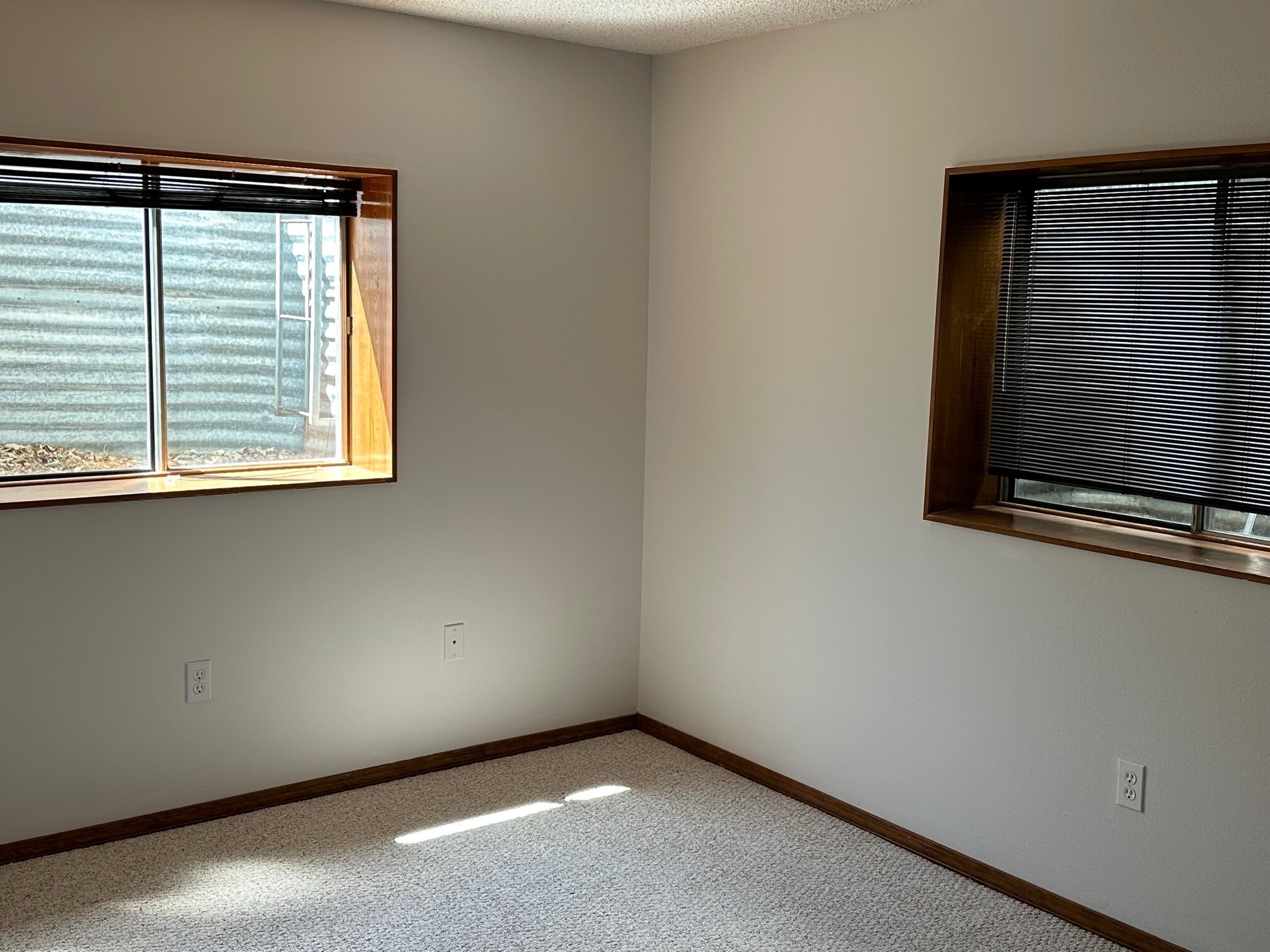 Basement BR 1 angle 1 - 5165 Granby Cir