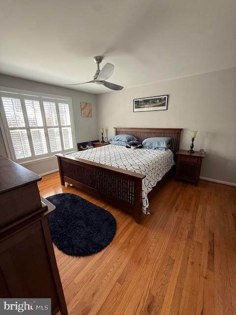 Building Photo - 8002 Middlebury Dr