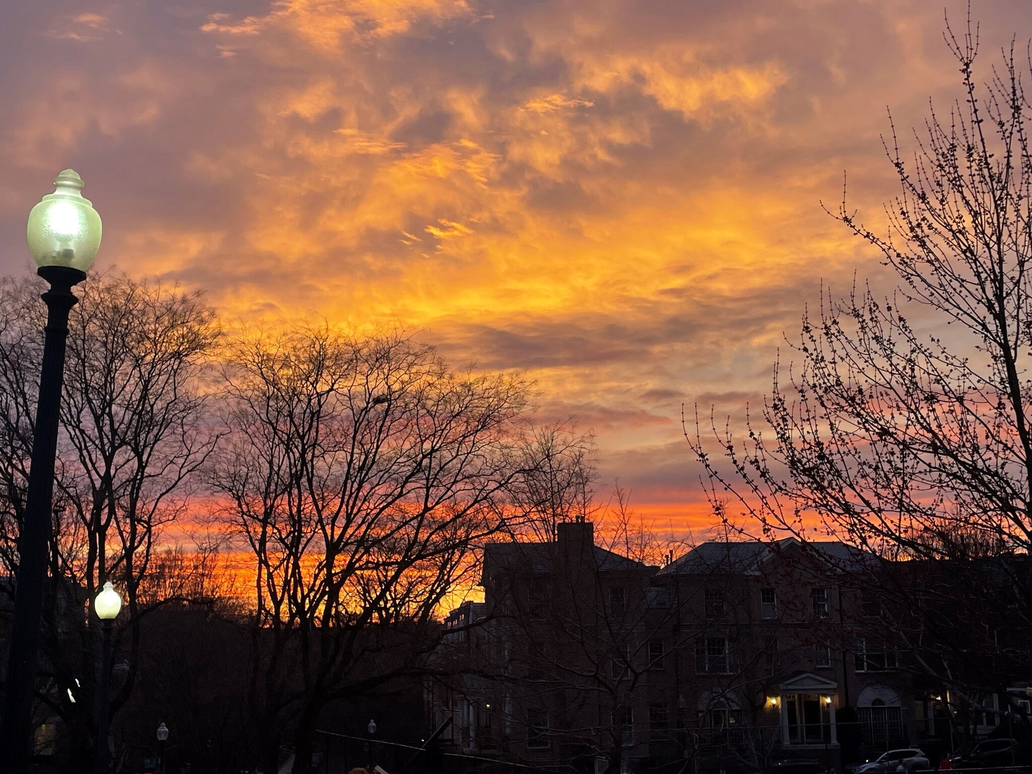 Kalorama Park views. - 2032 Belmont Rd NW