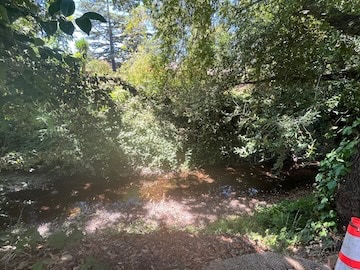 Building Photo - 1421 Elm Dr