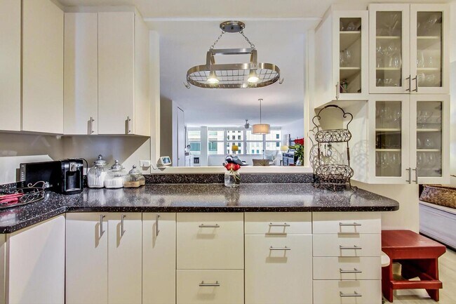 Building Photo - 1000 N Lake Shore Dr