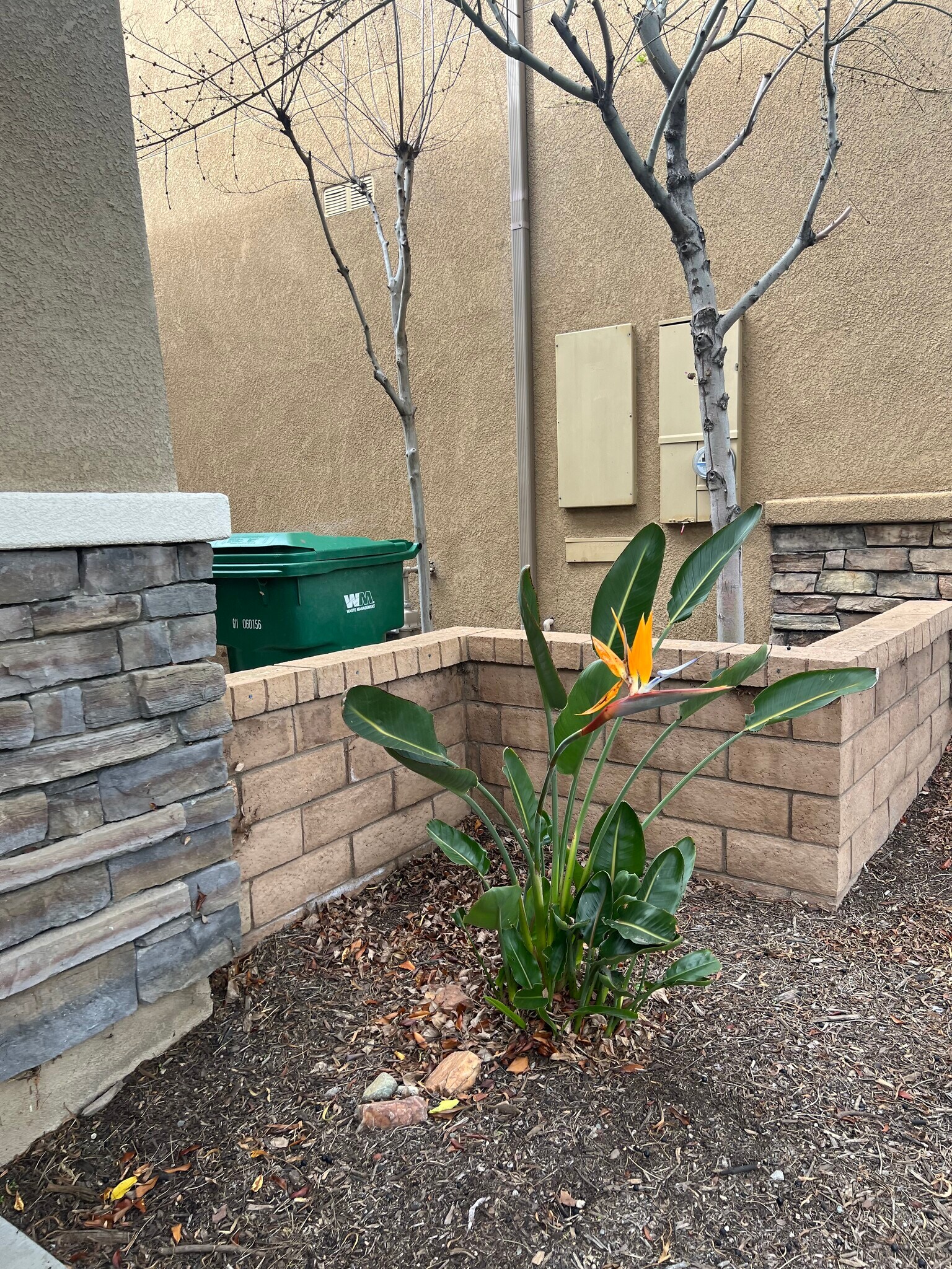 Building Photo - 12851 Serpentine Way