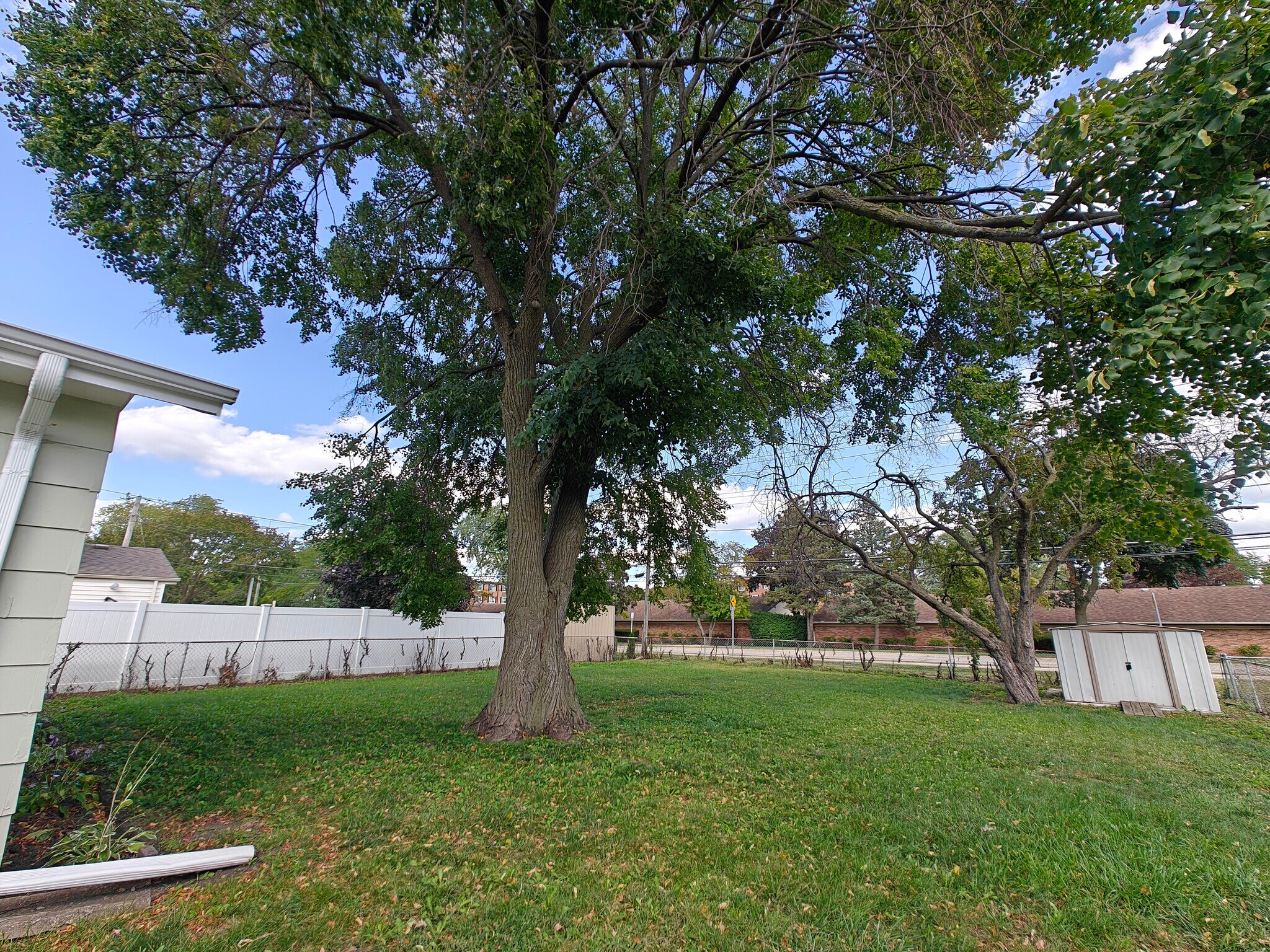 Fenced-in backyard with storage shed - 4506 Carr St