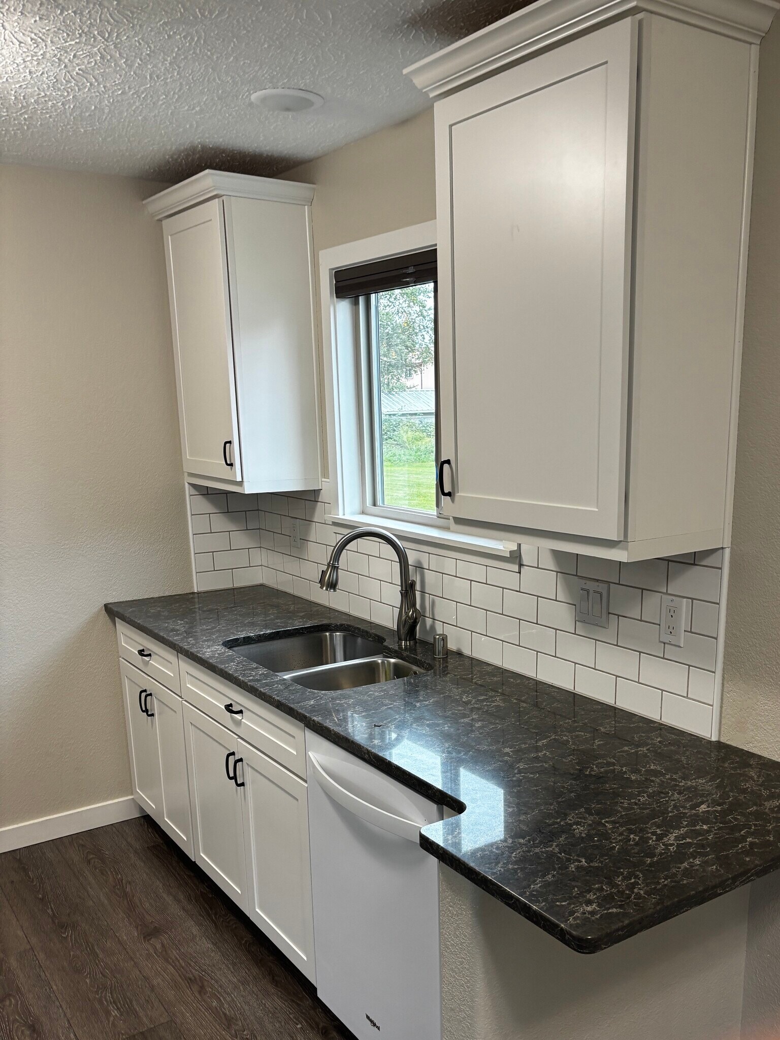 Dishwasher/Sink area - 8204 Mentra St