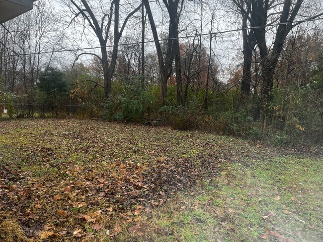 Building Photo - 114 Holly Cove