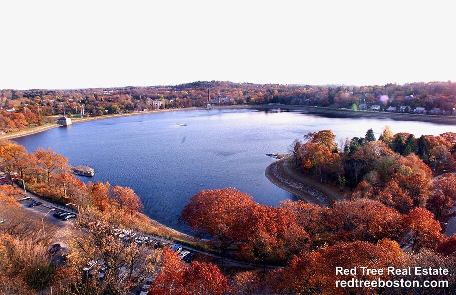 Building Photo - 370 Chestnut Hill Ave