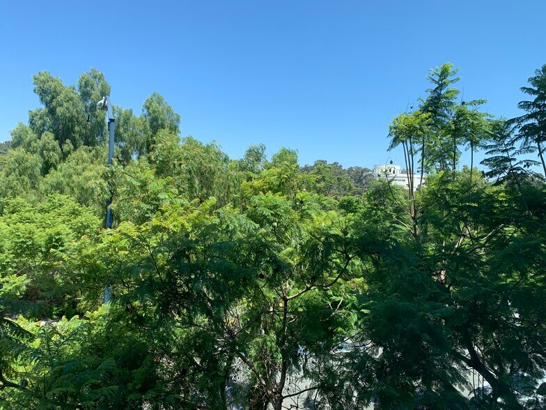 View from the unit - 889 Date St