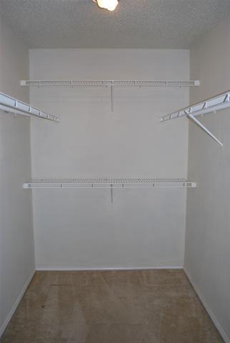 Building Photo - 2200 Lookout Ln