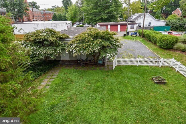 Building Photo - 1705 Commonwealth Ave