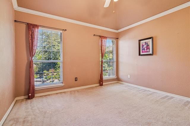 Building Photo - 3104 Sawtooth Dr