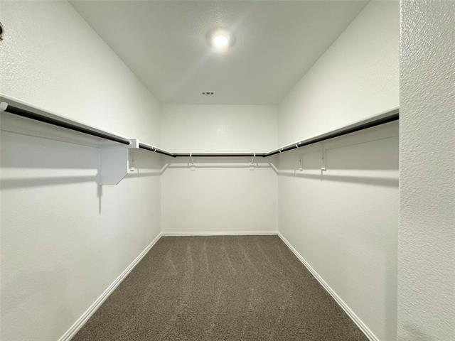 Building Photo - 3720 Canyon Dr