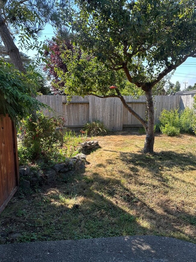 Building Photo - Charming Studio Loft in Arcata – Close to Plaza & Cal Poly Humboldt