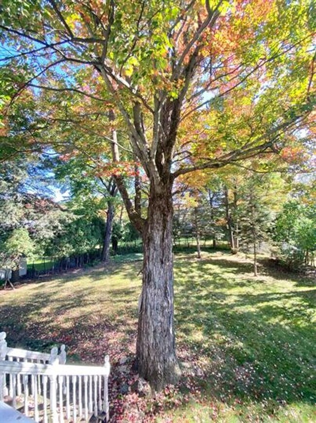 Building Photo - 5 Bedroom Home in Essex Junction! Available 7/1