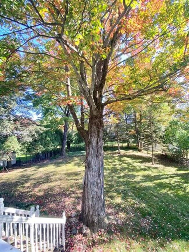 Building Photo - 5 Bedroom Home in Essex Junction!