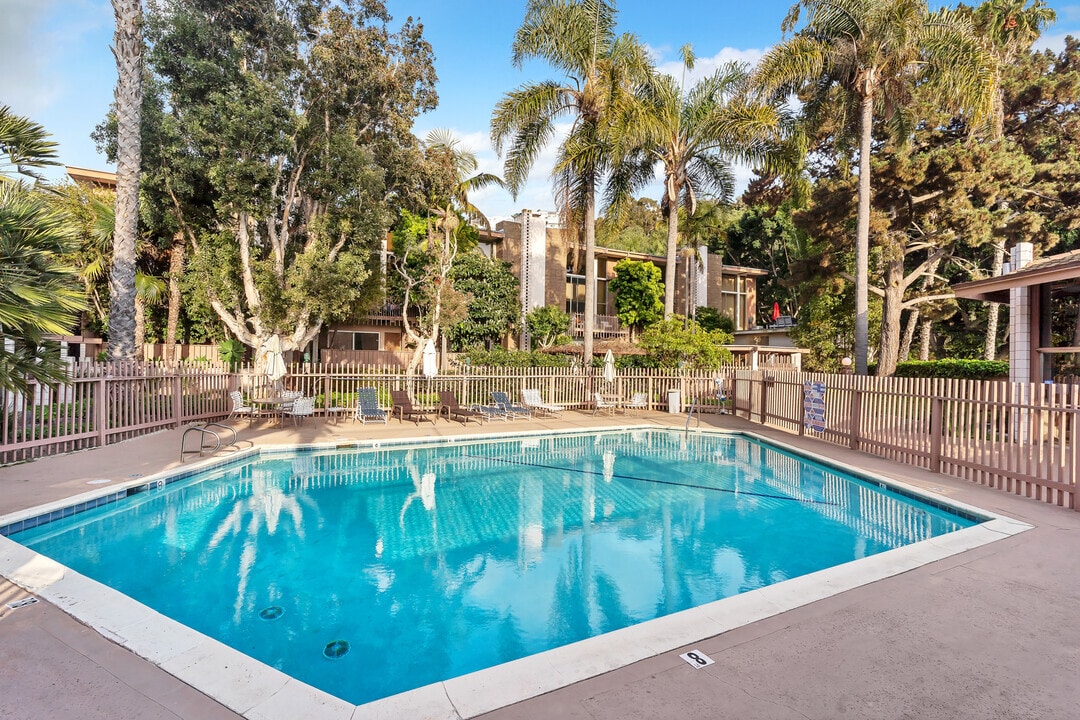 Pool - 2600 Torrey Pines Rd
