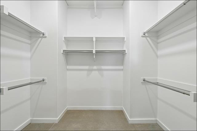 Building Photo - 4833 Paddock Trl
