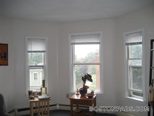 Building Photo - 359-361 Western Ave.