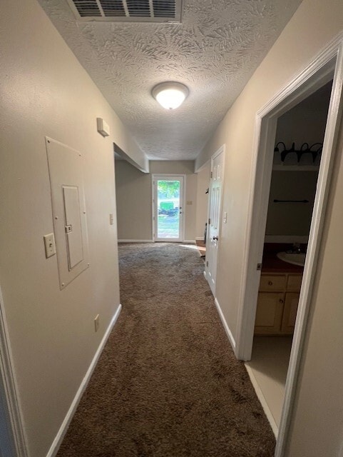 Hallway looking towards the living area - 100 Twin Acres Dr