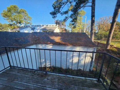 Building Photo - 1420 Accomac Pl
