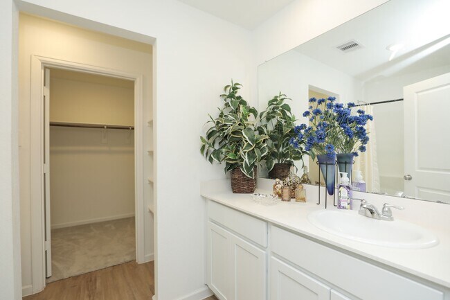 Building Photo - 2741 Cadiz Bay Dr