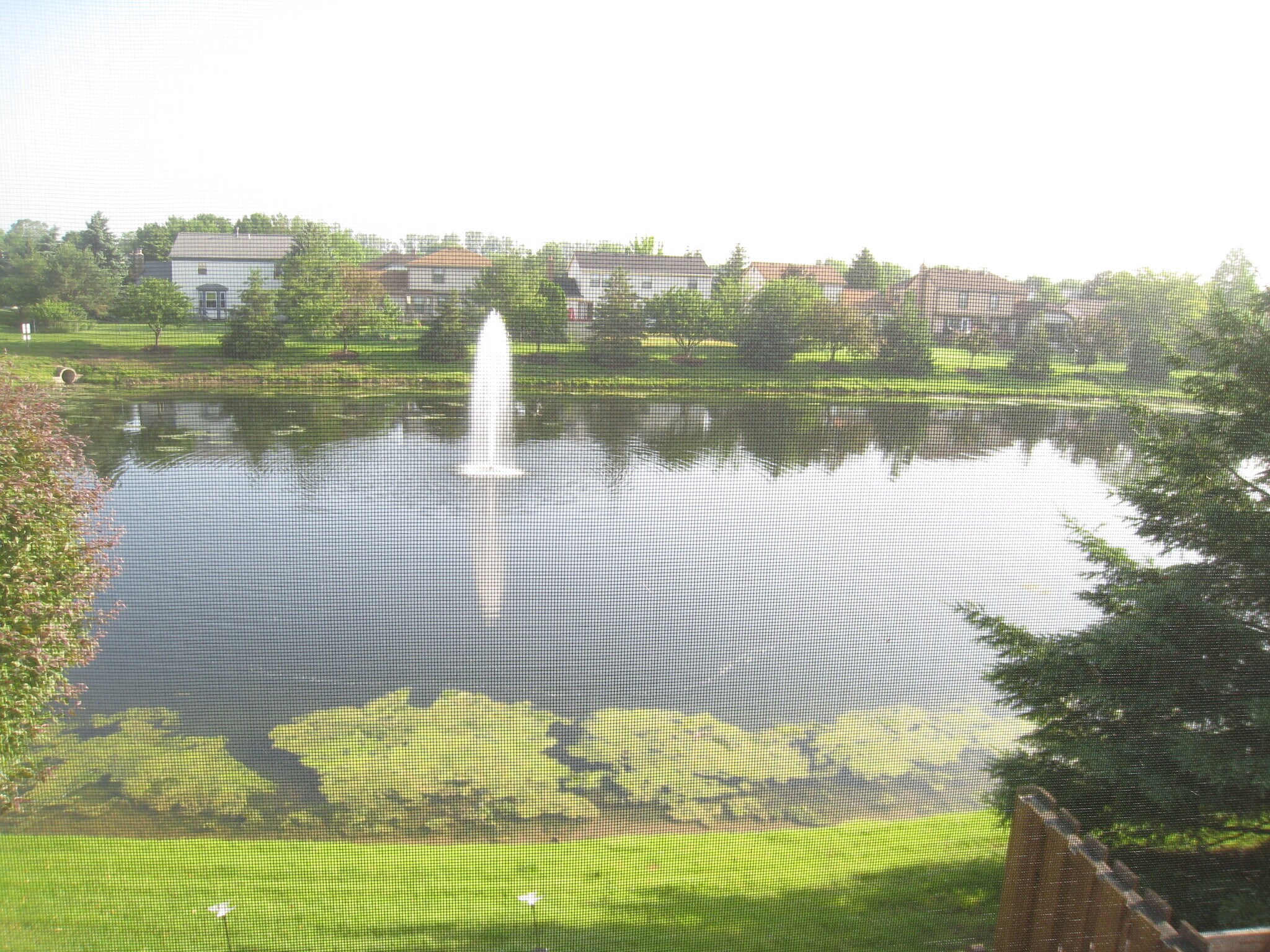 Building Photo - 5472 Baneberry Ave