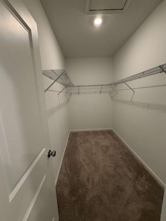 Building Photo - 2419 Bevel Ln