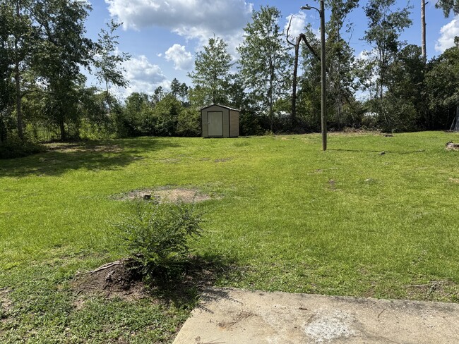 Building Photo - 908 Jungle Rd