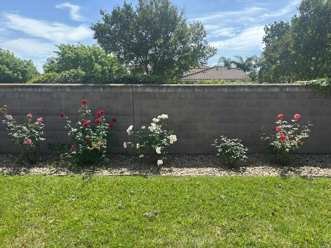 Building Photo - 10294 Stoecker Way