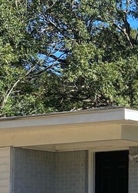 Building Photo - RAINES