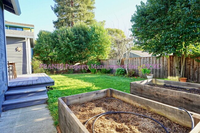 Building Photo - 245 Solano St