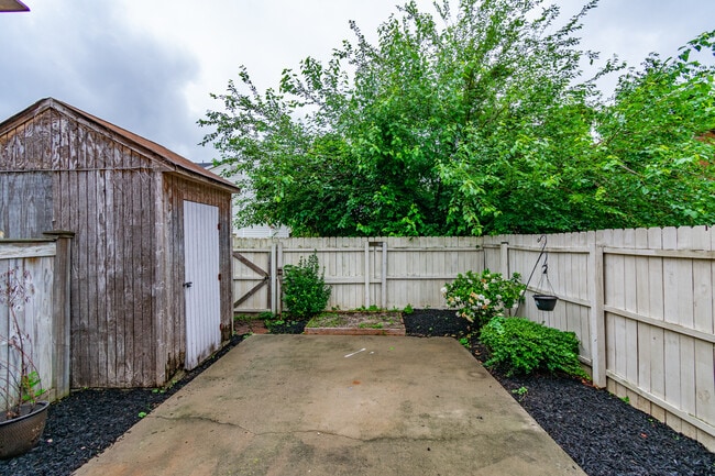 Backyard - 655 Biltmore Dr