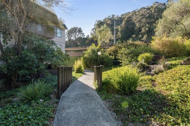 Building Photo - 6226 Shelter Creek Ln