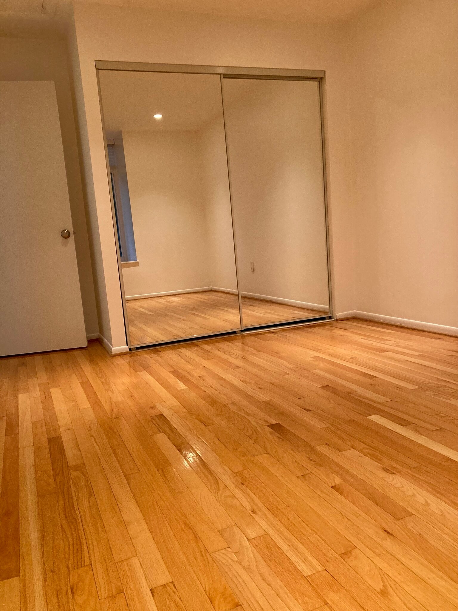 BR 2 spacious with large closet - 658 15th St S