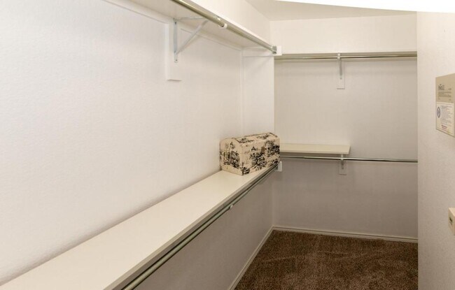 Building Photo - 3015 Marigold Drive