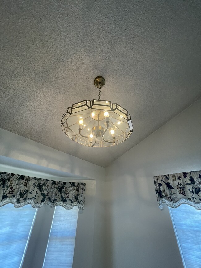 Dining Room Chandelier - 386 Pippin Dr