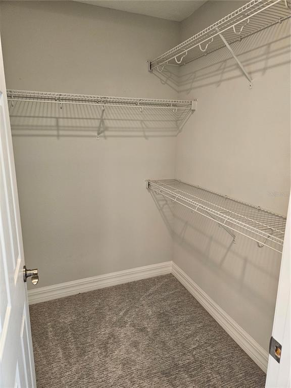 Building Photo - 2812 Cello Ln