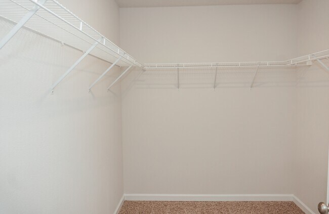 Building Photo - 3578 Sugar Maple Ln