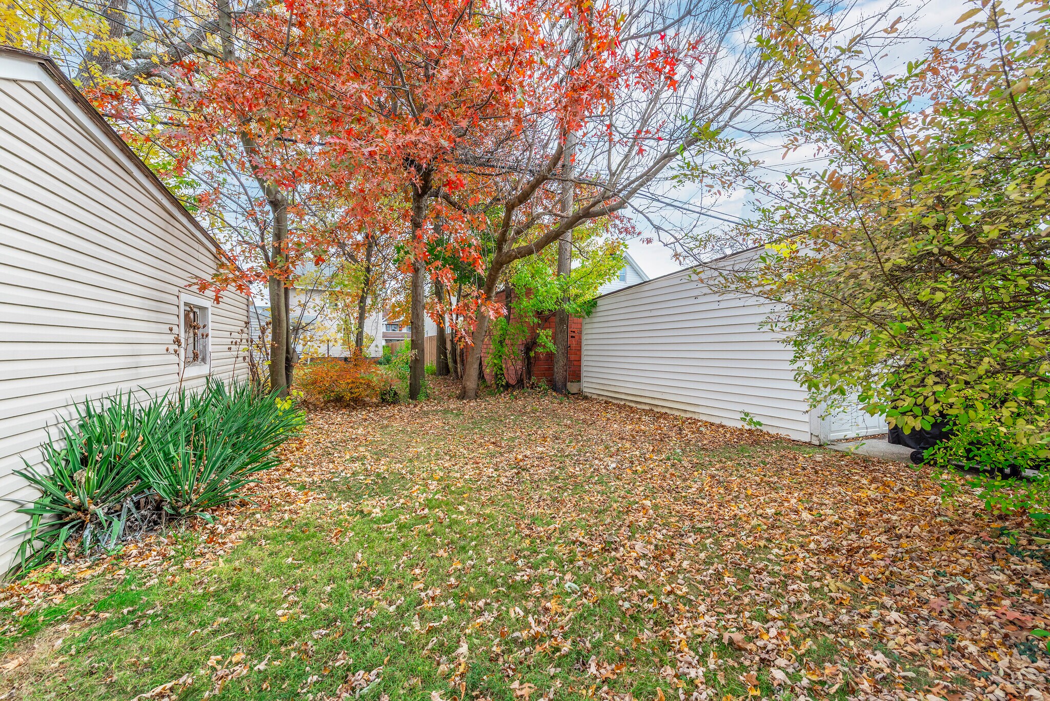 Building Photo - 2085 Marlowe Ave