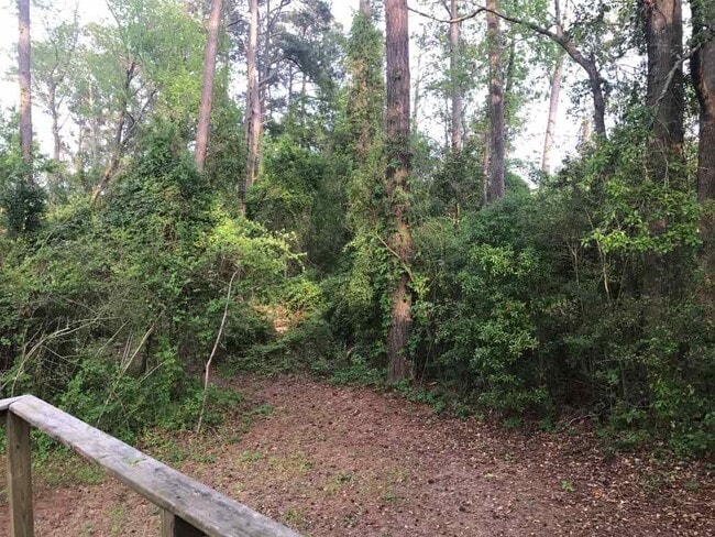 Building Photo - 4387 8th Ave N