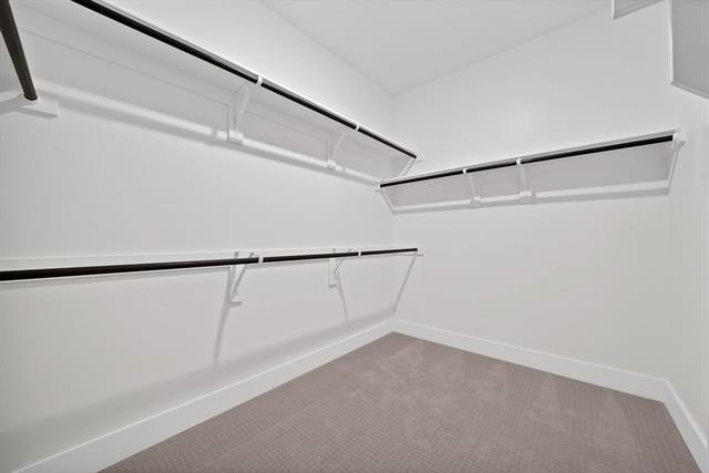 Building Photo - 7276 Confetti Ln