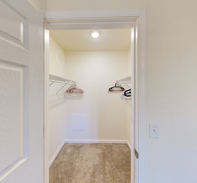 Building Photo - 1639 Green Forest Run