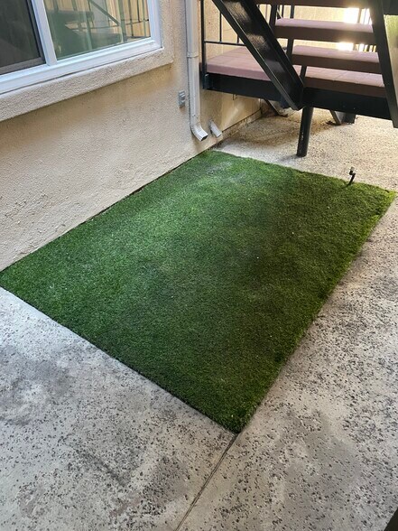 Patio - 626 Lake St