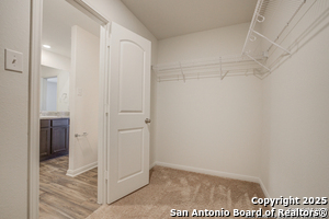 Building Photo - 2823 Citron Garden