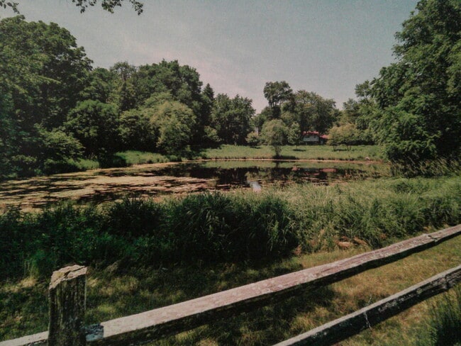 Building Photo - 8538 Washington St