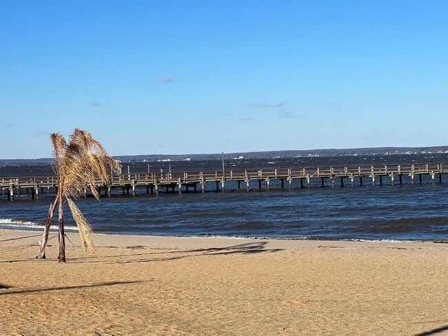 Building Photo - 308 4th St