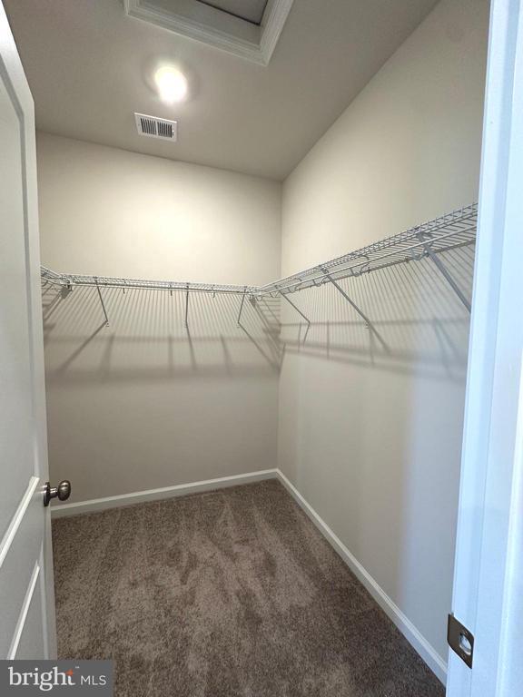 Building Photo - 26 Trout Lily Dr