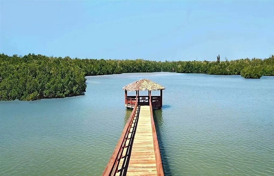 View on BayForest from cabana - 270 Naples Cove Dr