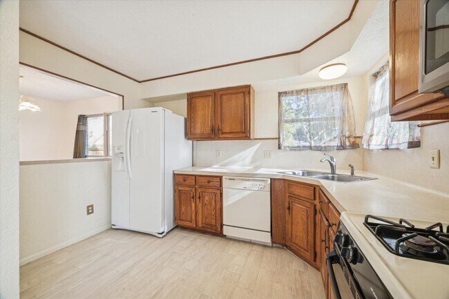 Building Photo - 1119 Downing Cir