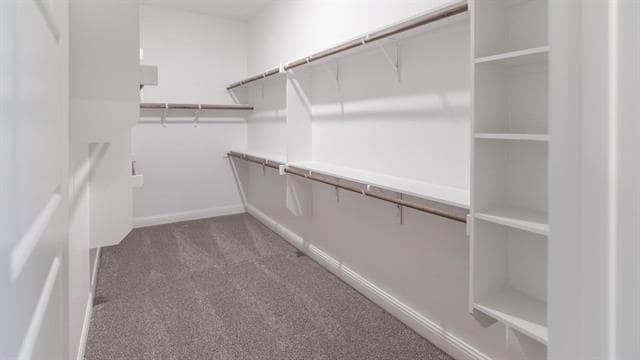 Building Photo - 3408 Cimarron River Dr