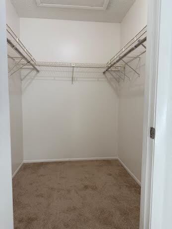 Building Photo - 3931 Panola Ln